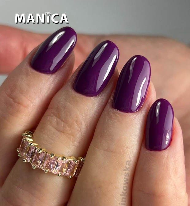 95 Elegant Plum